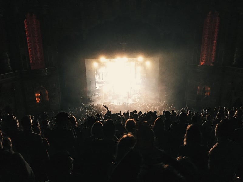 Concert Crowd